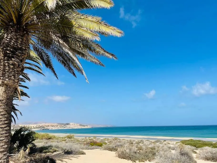 Fuertevilla Costa Calma 0*,  Spain