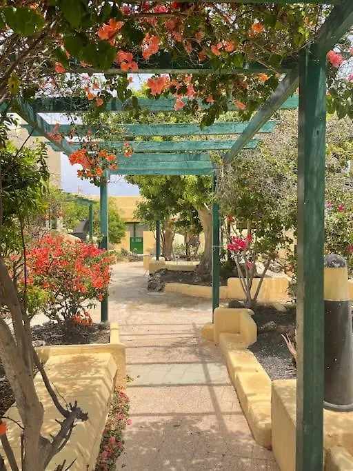 Fuertevilla Costa Calma Apartment